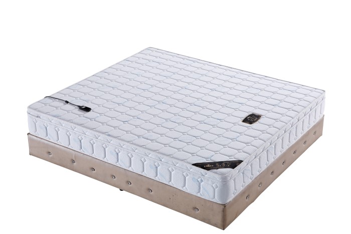 體感音樂放松床簡(jiǎn)介